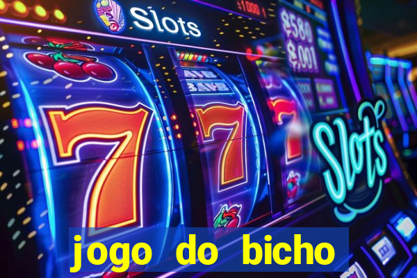 jogo do bicho crash bingo